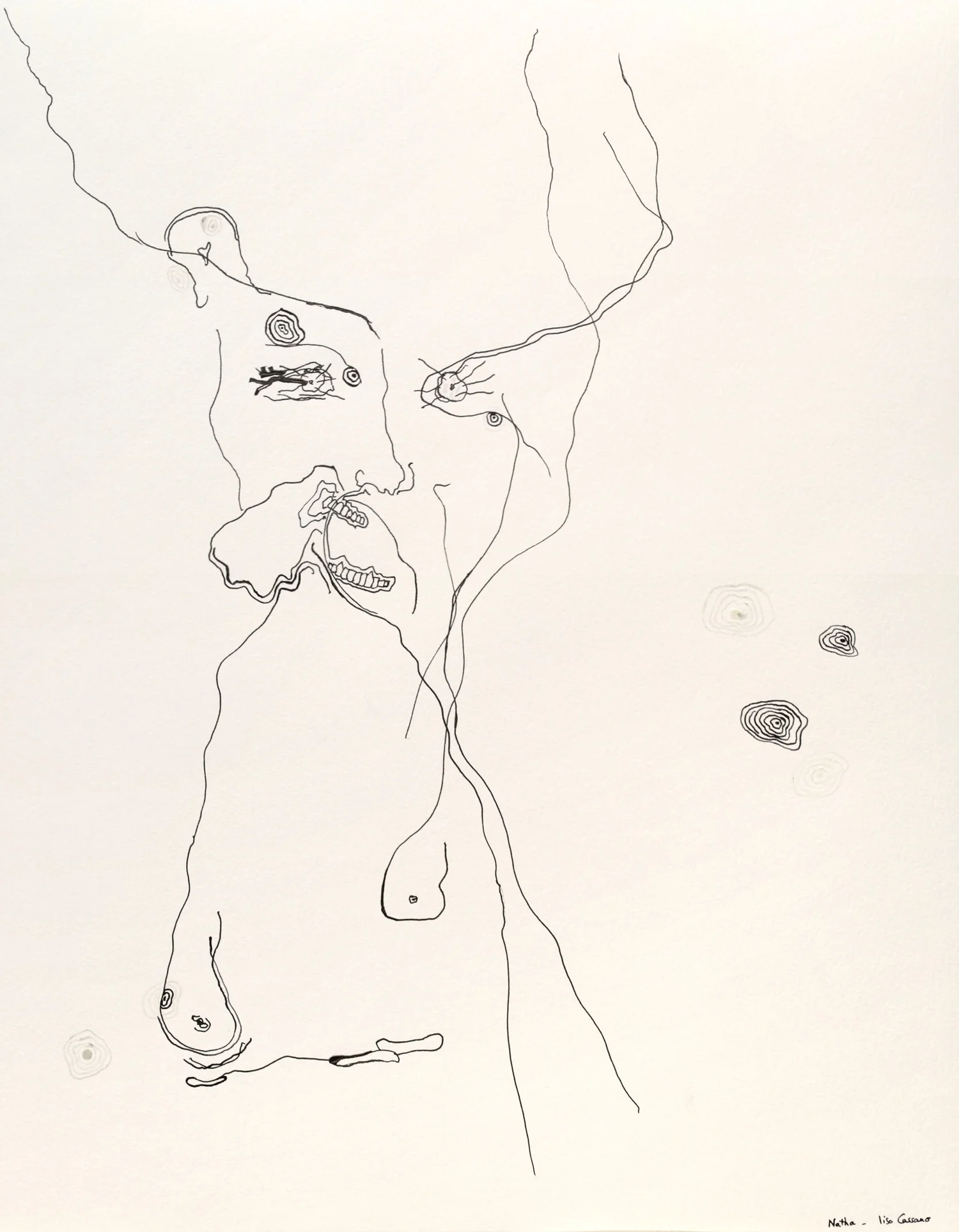 Corporeal Geography - Natha — , 2024